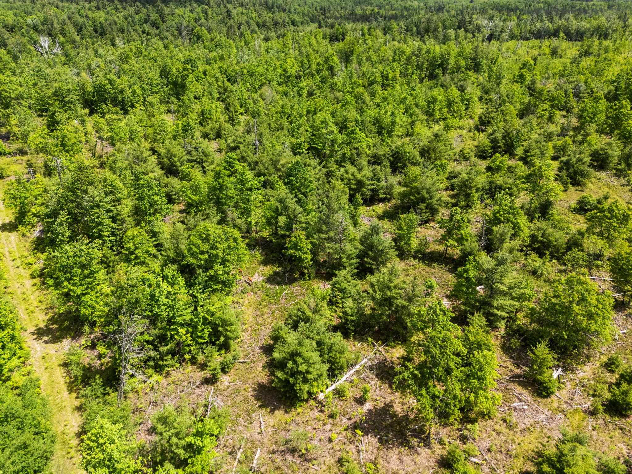 4011 West Forest Road Lake City, MI 49651 - Photo 12 of 36
