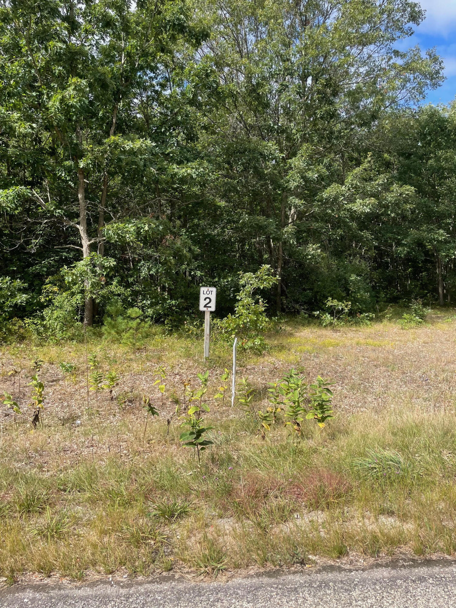 Lot 2