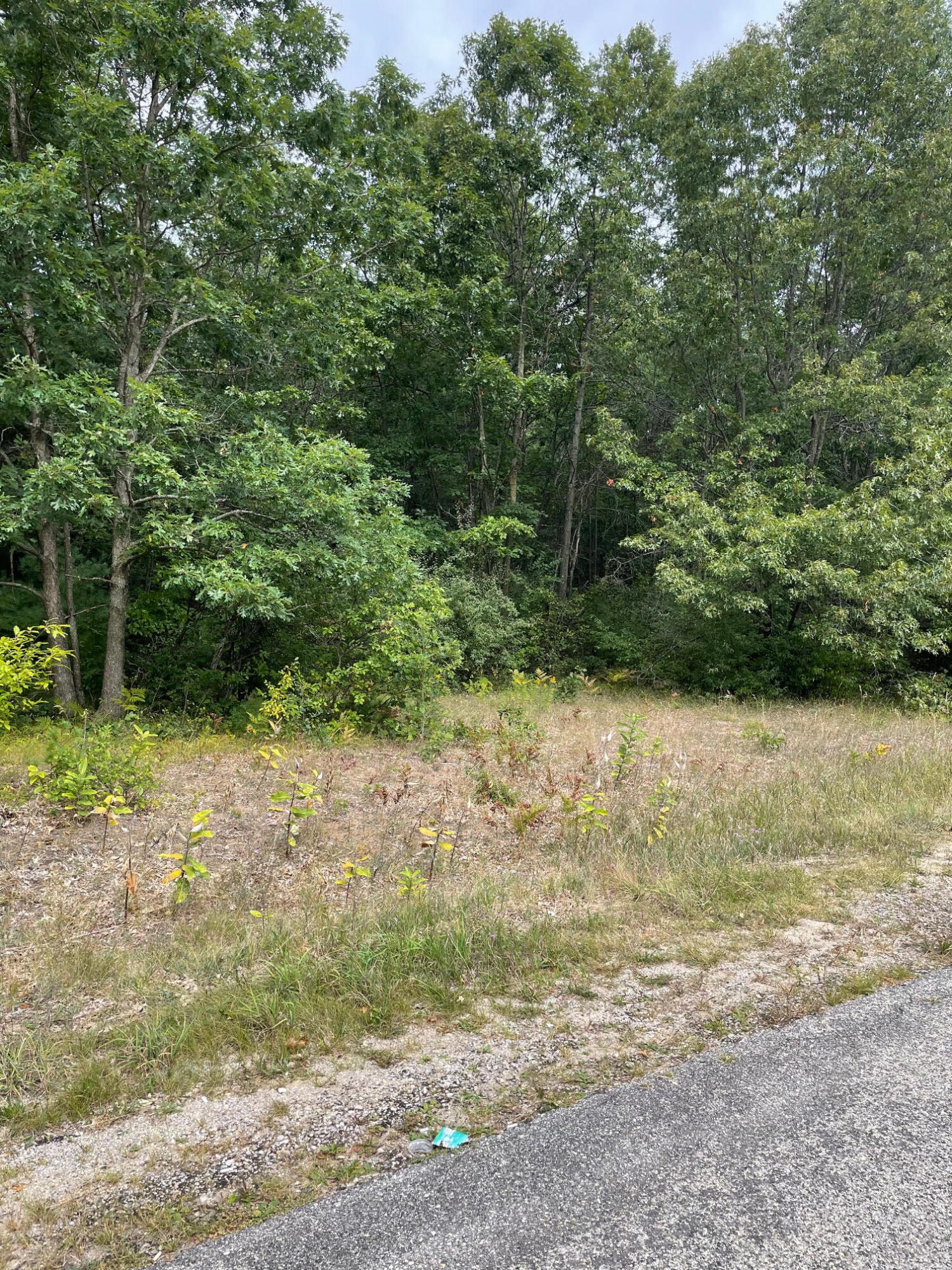Nice wooded parcel