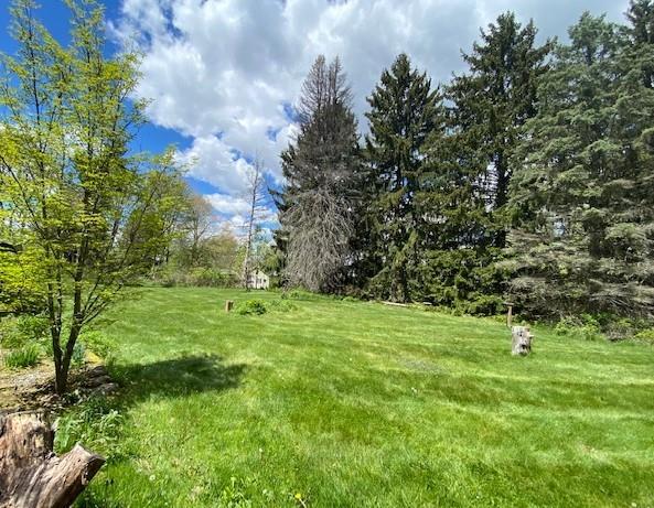 313 Holyoke Road Butler, PA 16001 - Photo 3 of 4
