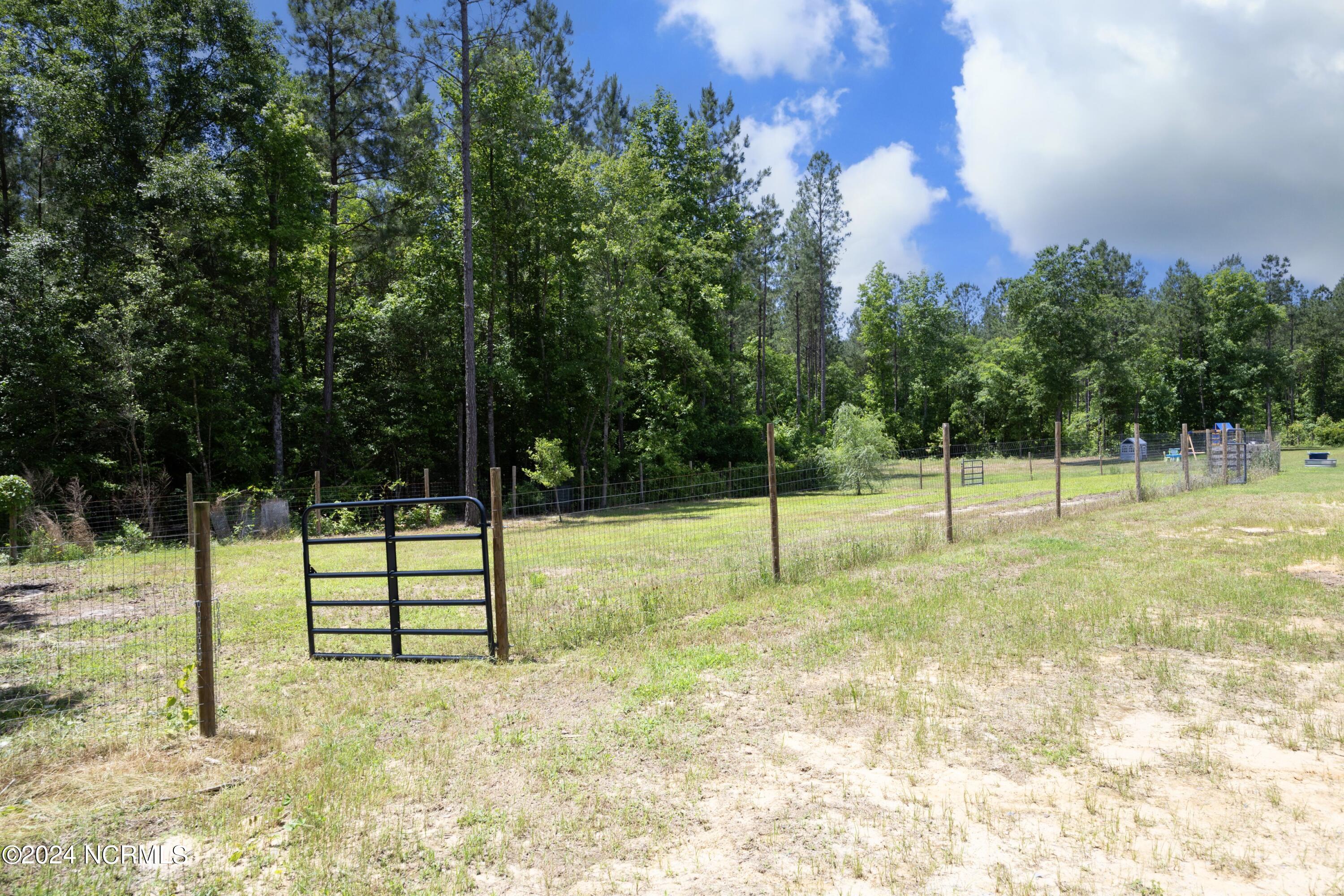 560 Valor Trail Cameron, NC 28326 - Photo 46 of 61 48FencedArea