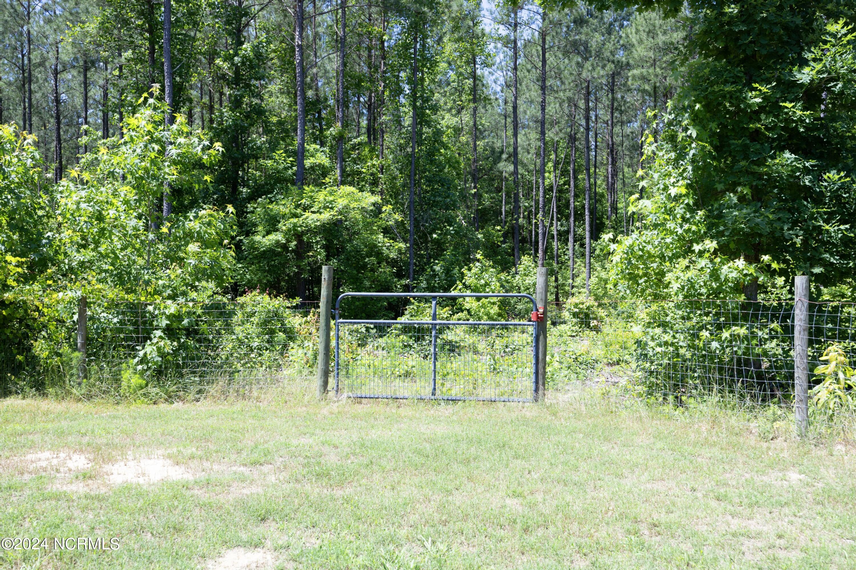 560 Valor Trail Cameron, NC 28326 - Photo 47 of 61 49BackGate