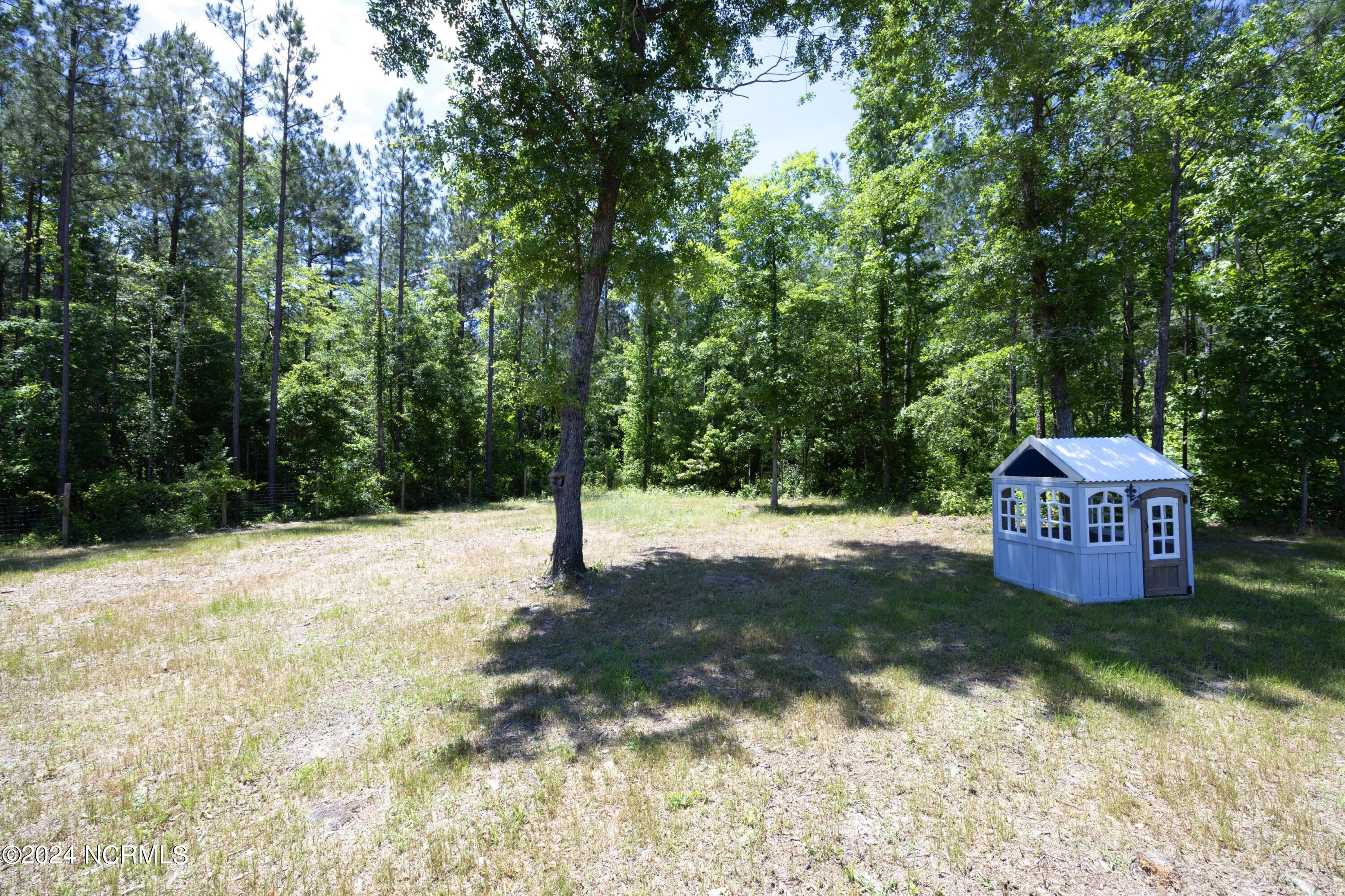 560 Valor Trail Cameron, NC 28326 - Photo 49 of 61 51Back