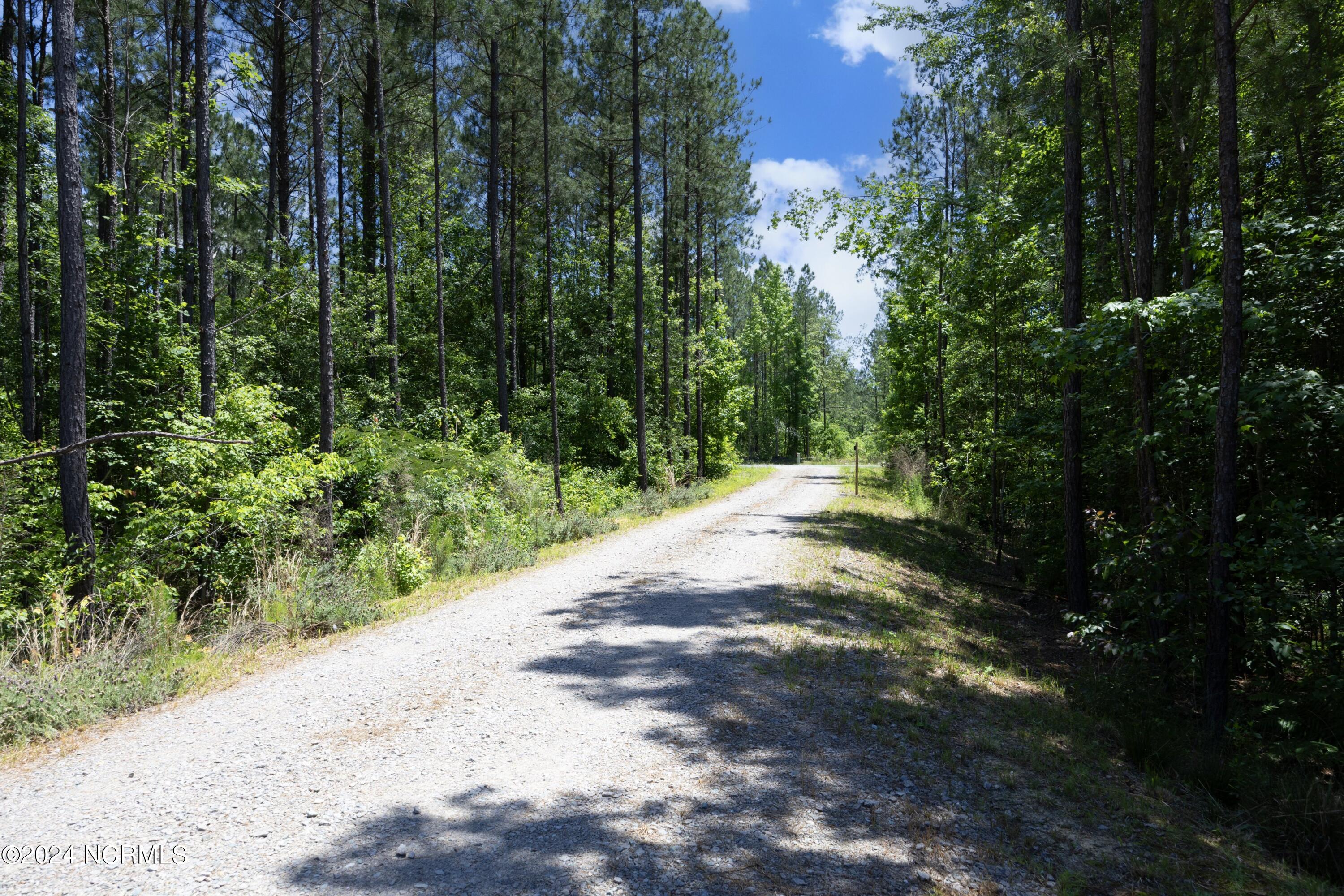 560 Valor Trail Cameron, NC 28326 - Photo 53 of 61 55LongDriveway