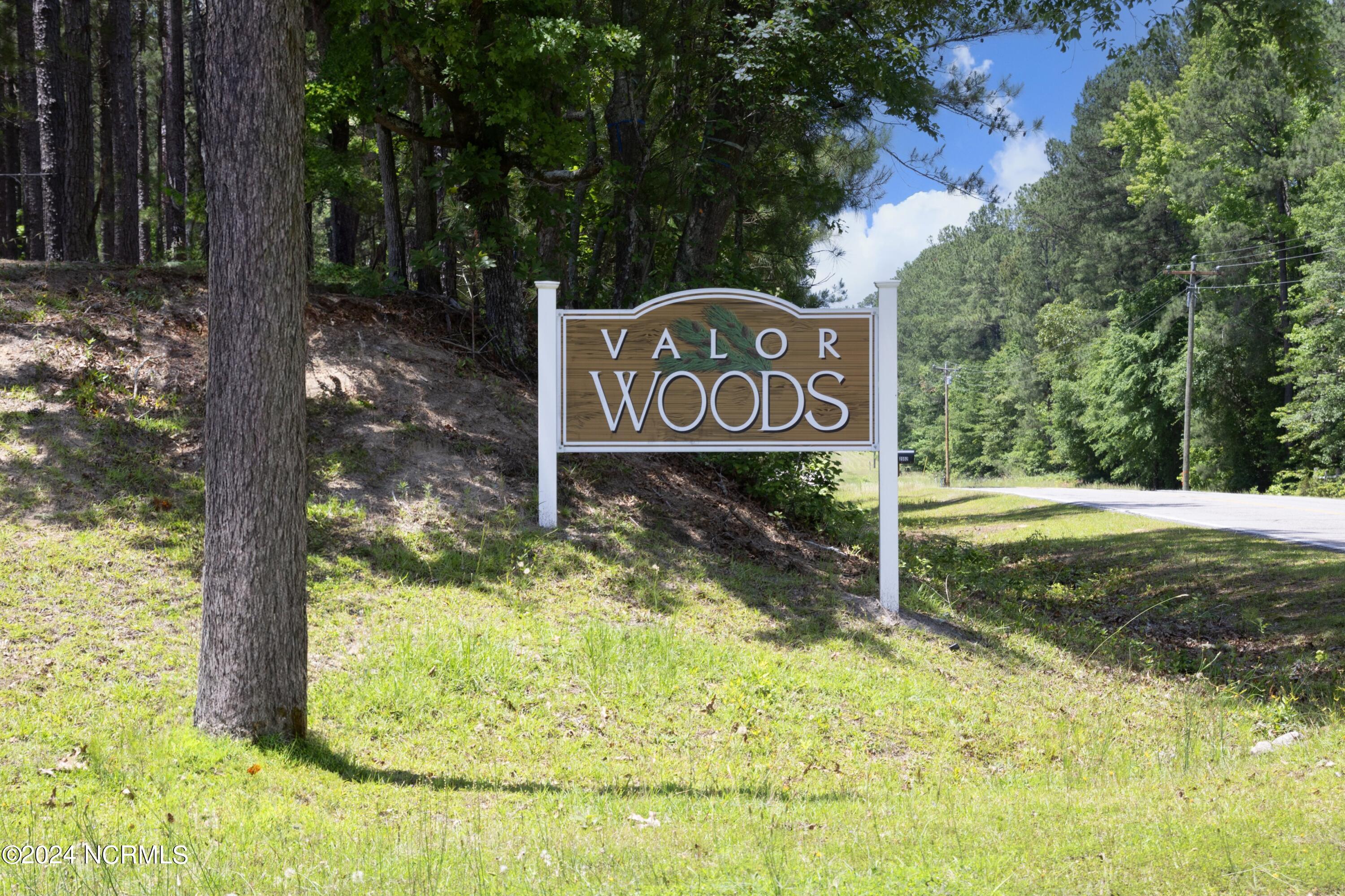 560 Valor Trail Cameron, NC 28326 - Photo 54 of 61 ValorWoodsEntrance
