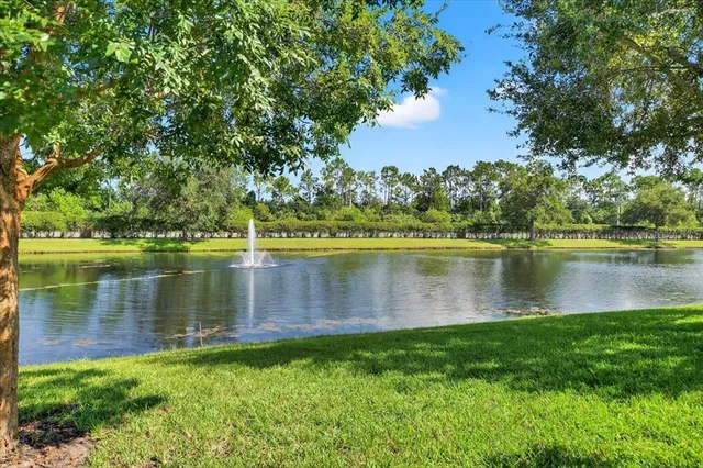 an aerial view of residential houses with outdoor space and river