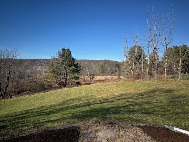 1496 Stanton Hill Road Nichols, NY 13812 - Photo 26 of 26