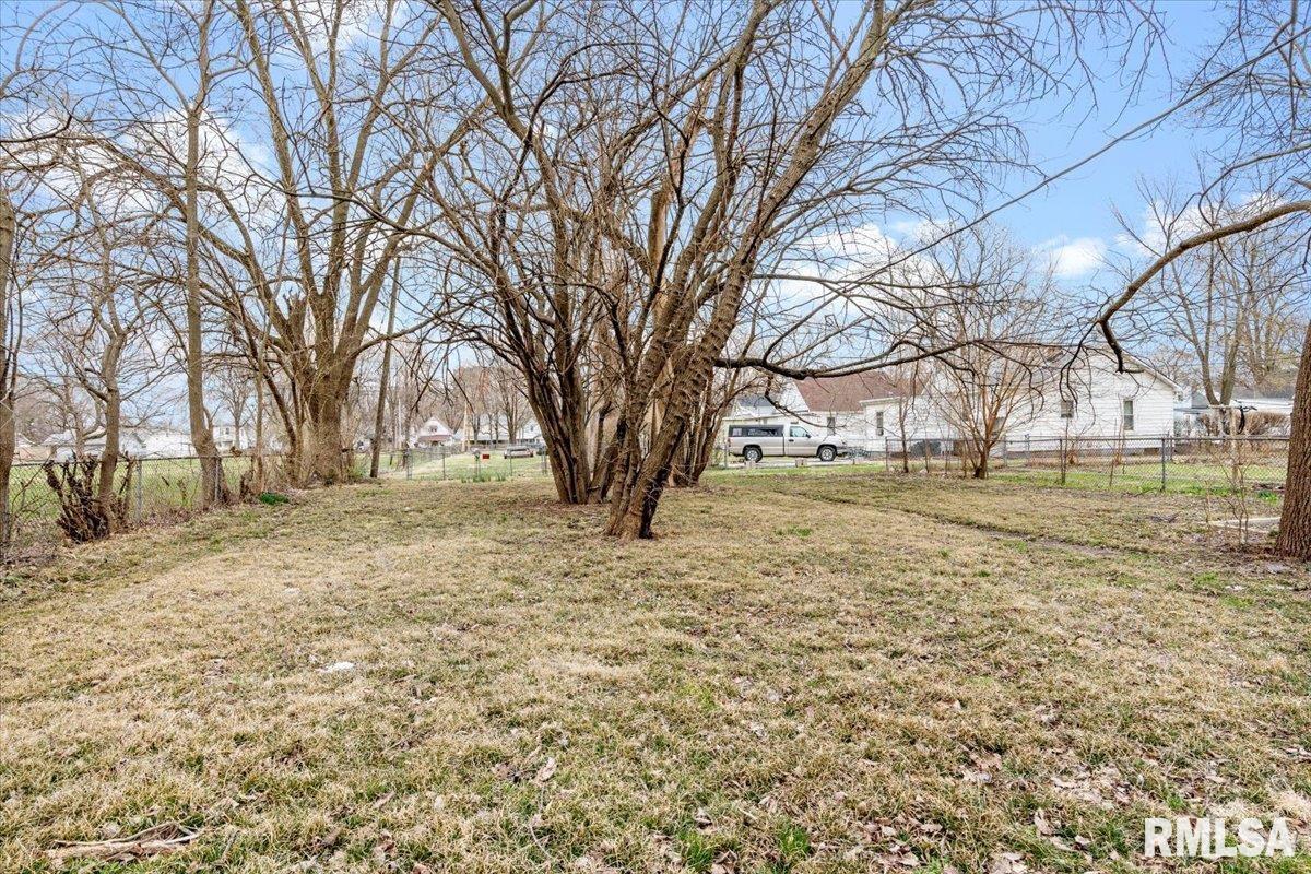 1108 North 12th Street Springfield, IL 62702 - Photo 7 of 39