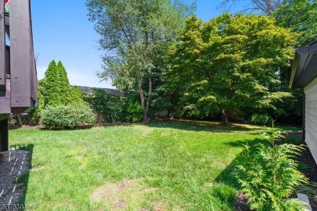 a view of backyard with green space