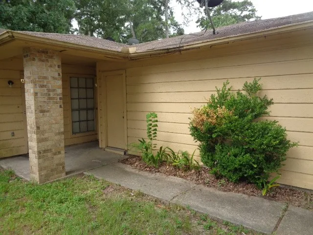 a couple of potted plants in front of door