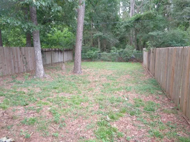 a view of a backyard with large trees and wooden fence