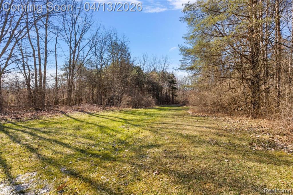 4705 Ketchum Road St. Clair, MI 48079 - Photo 8 of 58