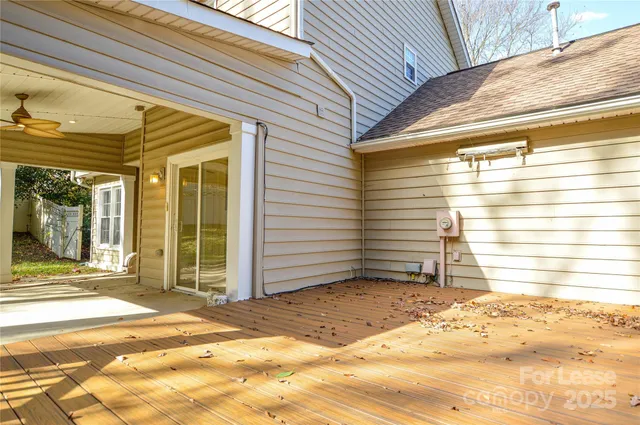a view of a garden with plants and large trees