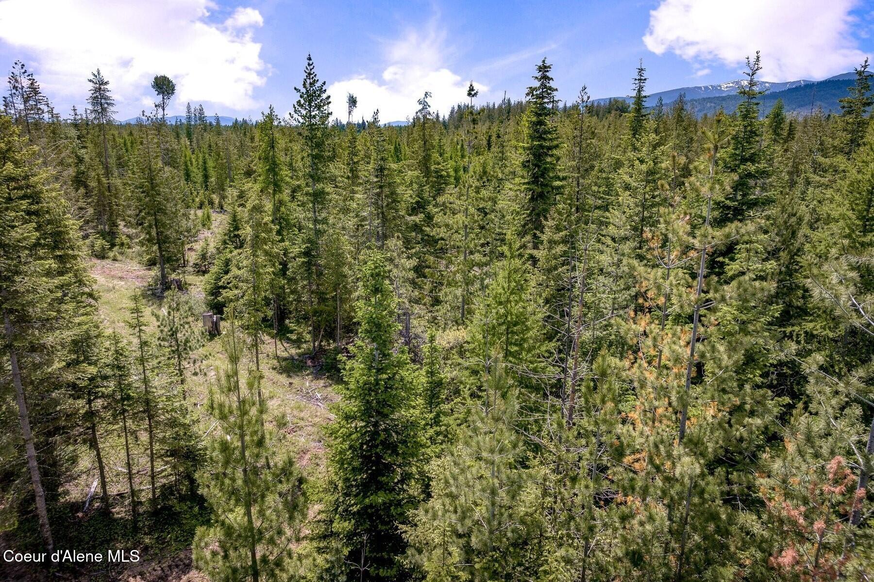 Lot 2 Phase 2 Noble Lane Sandpoint, ID 83864 - Photo 16 of 17 pgSMALL