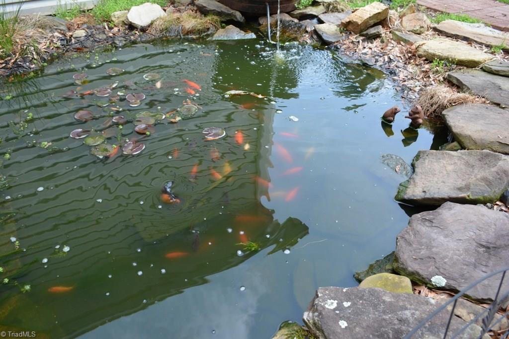 390 Mitchell Ridge Road Elkin, NC 28621 - Photo 13 of 20 Look at all those fish!