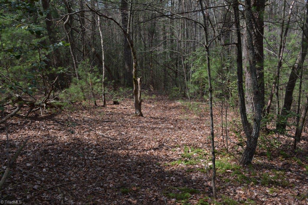 390 Mitchell Ridge Road Elkin, NC 28621 - Photo 17 of 20 This little path will lead you to the creek on the back of the property. Great place to deer hunt!!