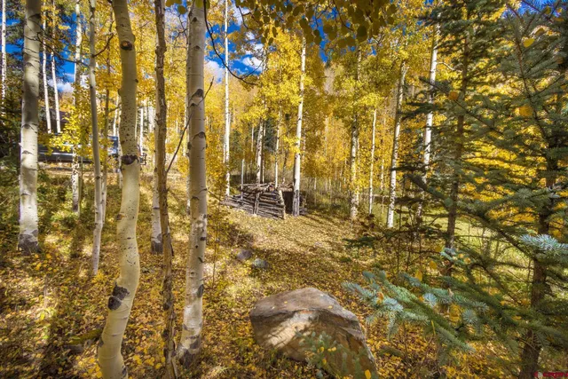 $185,000 | Lot 7 Silverglance Way, Rico, CO 81332
