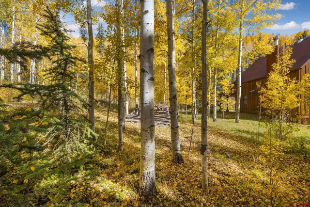 $185,000 | Lot 7 Silverglance Way, Rico, CO 81332