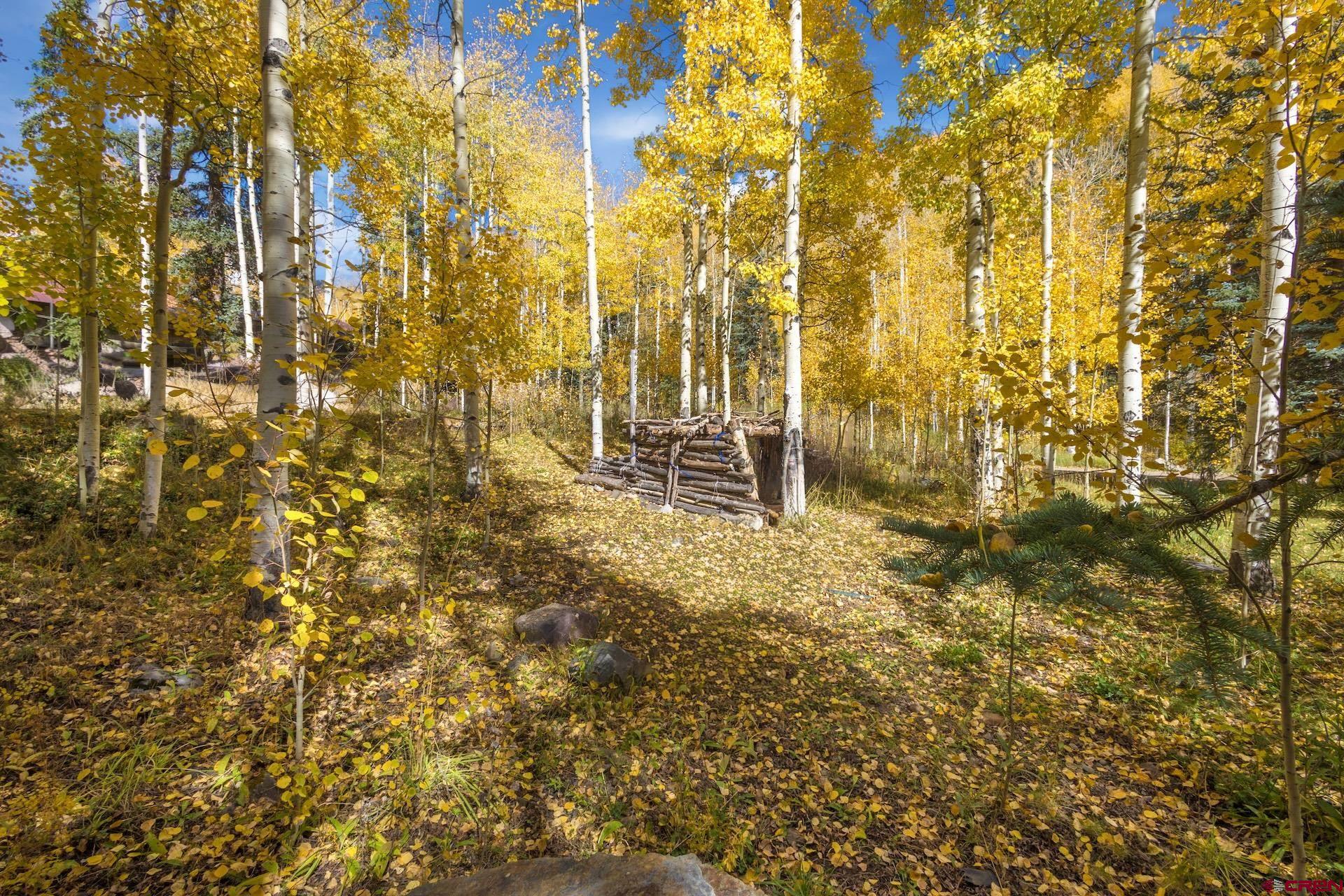 Lot 7 Silverglance Way Rico, CO 81332 - Photo 16 of 17 a view of outdoor space and a street view
