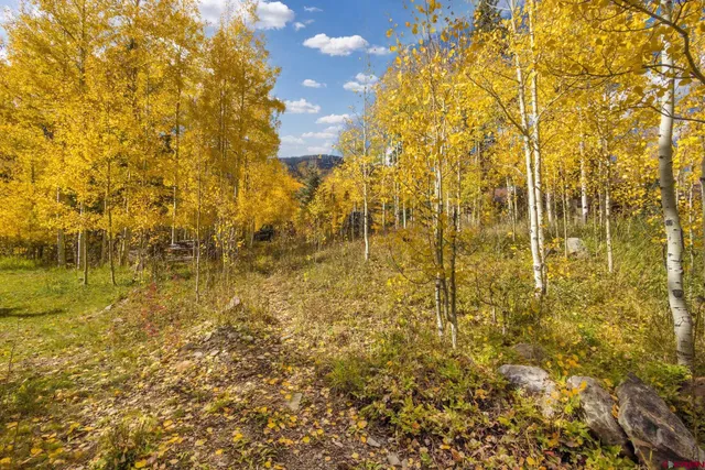 a bathroom with a blue shower