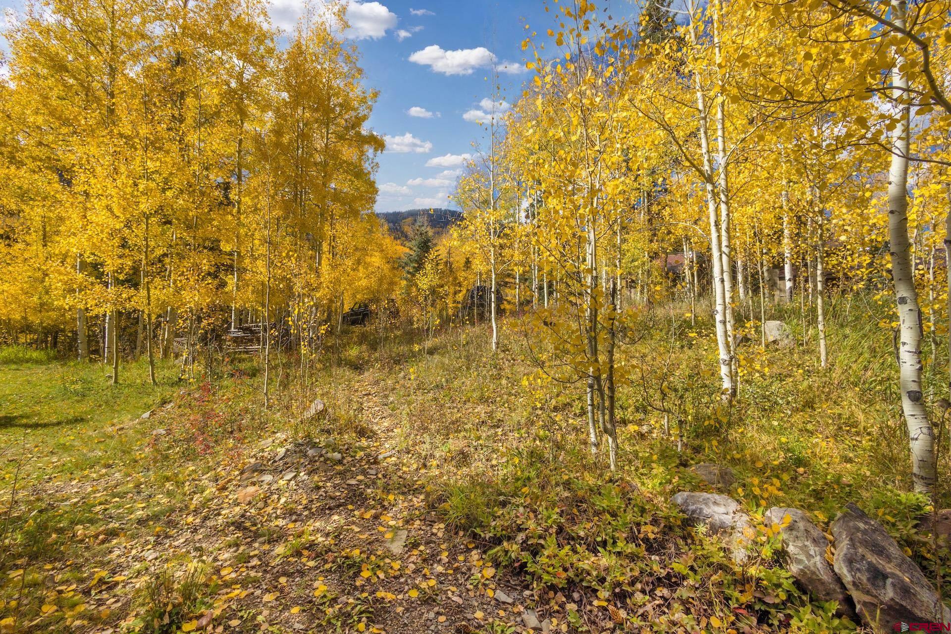 Lot 7 Silverglance Way Rico, CO 81332 - Photo 3 of 17 a bathroom with a blue shower
