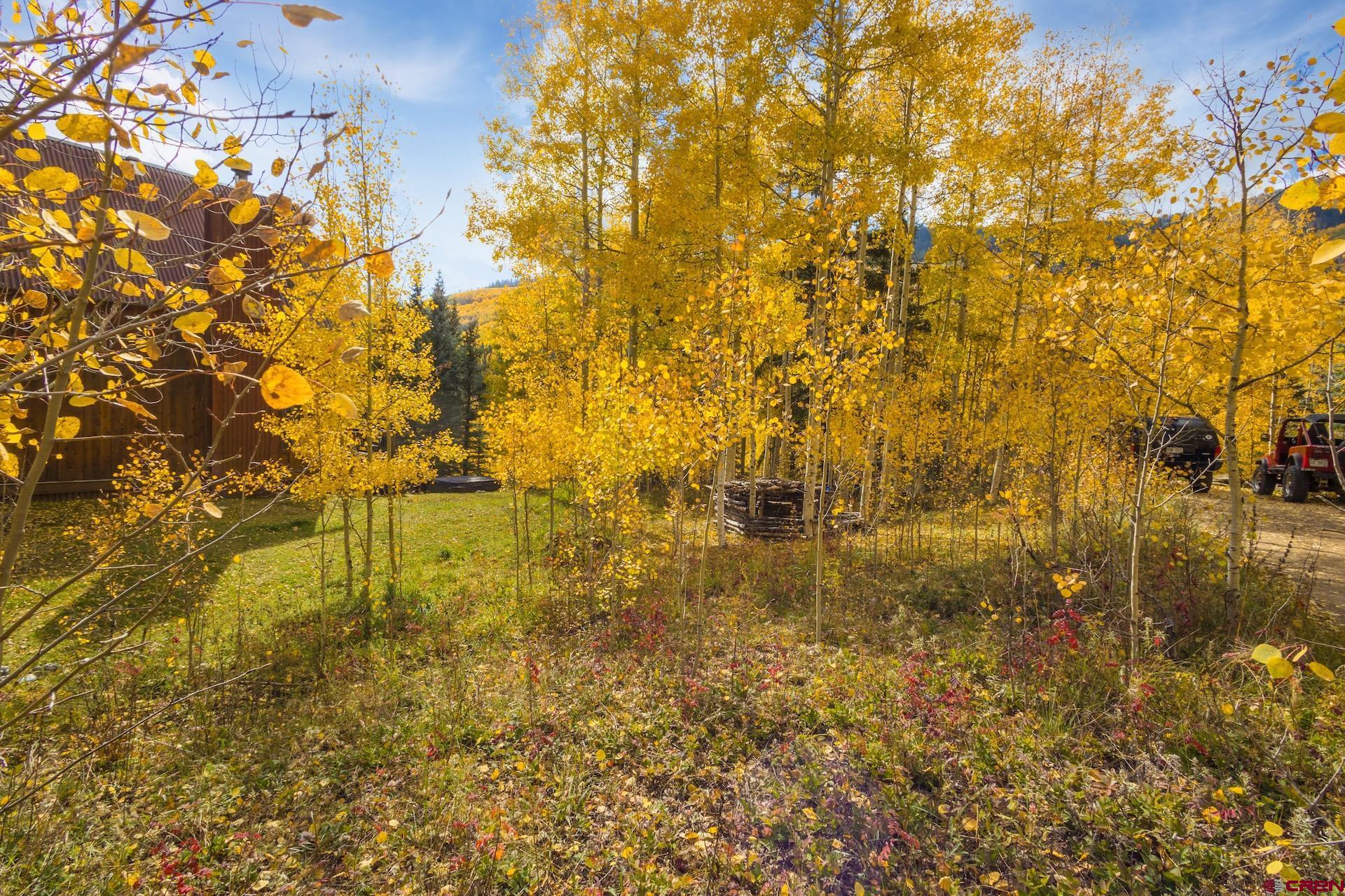 Lot 7 Silverglance Way Rico, CO 81332 - Photo 4 of 17