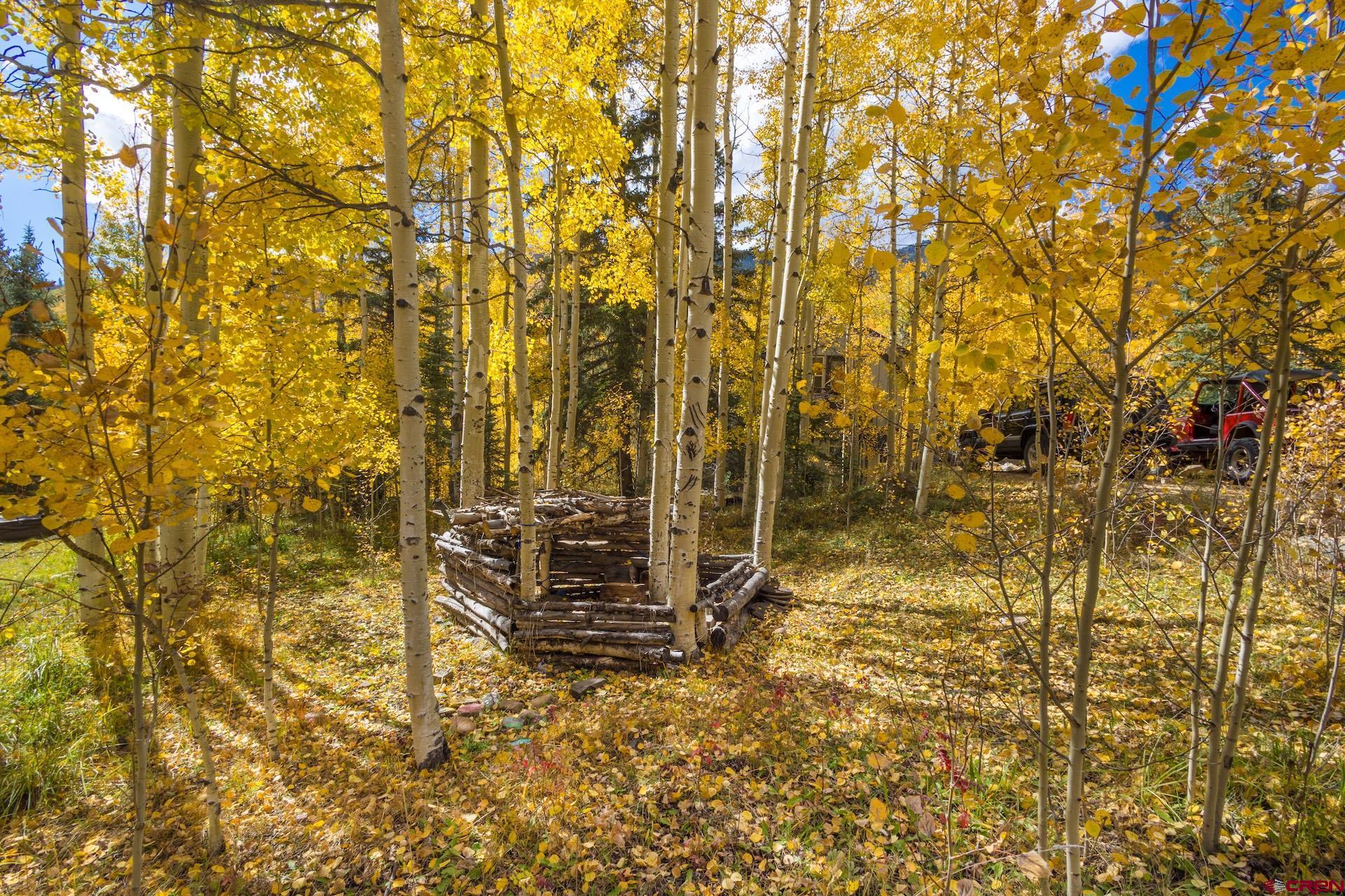 Lot 7 Silverglance Way Rico, CO 81332 - Photo 5 of 17