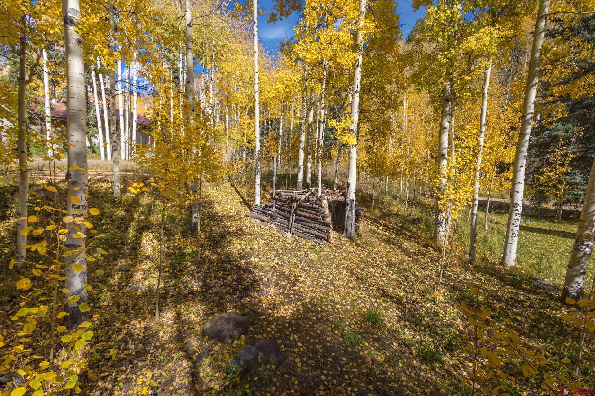 Lot 7 Silverglance Way Rico, CO 81332 - Photo 6 of 17 a view of a pathway of a building