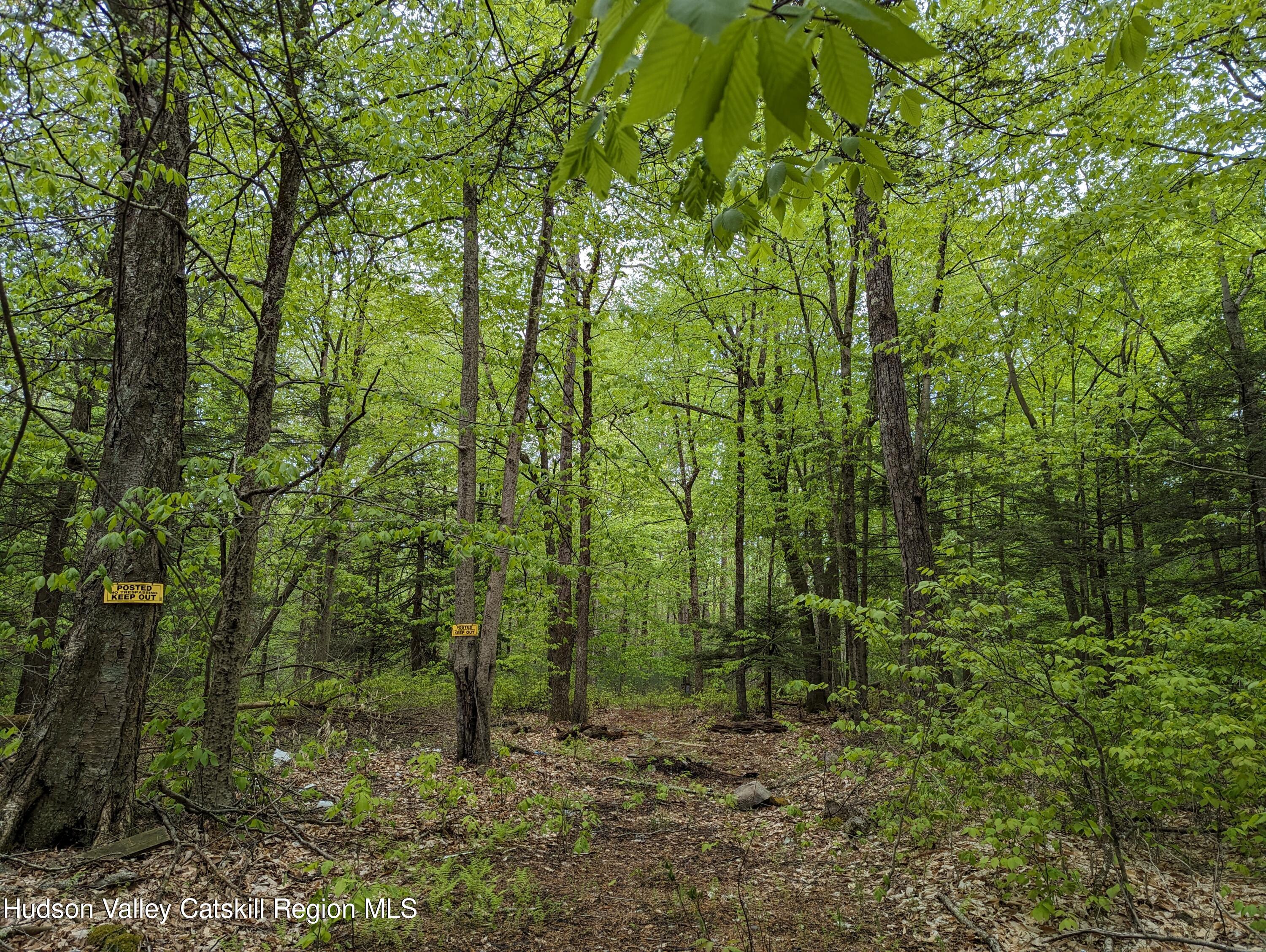 Tbd Diamond Road Ellenville, NY 12428 - Photo 1 of 11 cut in driveway