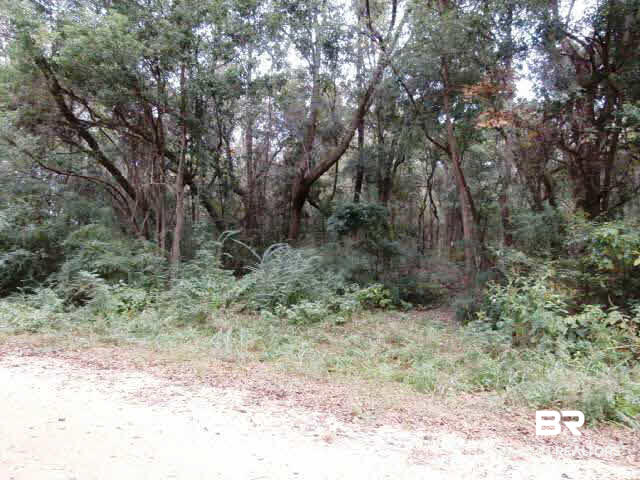 0 Eslava Drive Foley, AL 36535 - Photo 6 of 6 Hardwoods & Pine