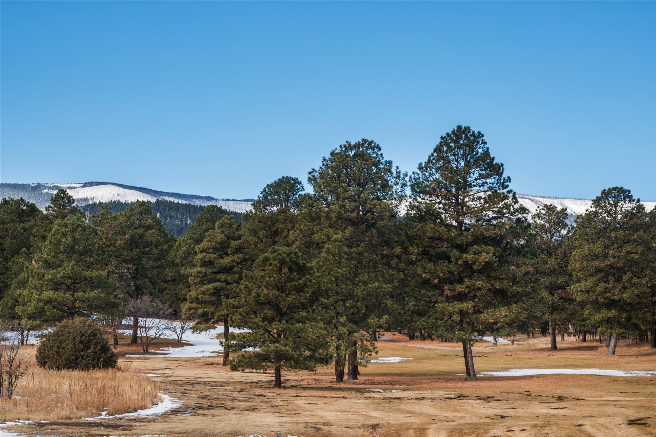 Lot 9 Corte Molina Rociada, NM 87742 - Photo 6 of 6