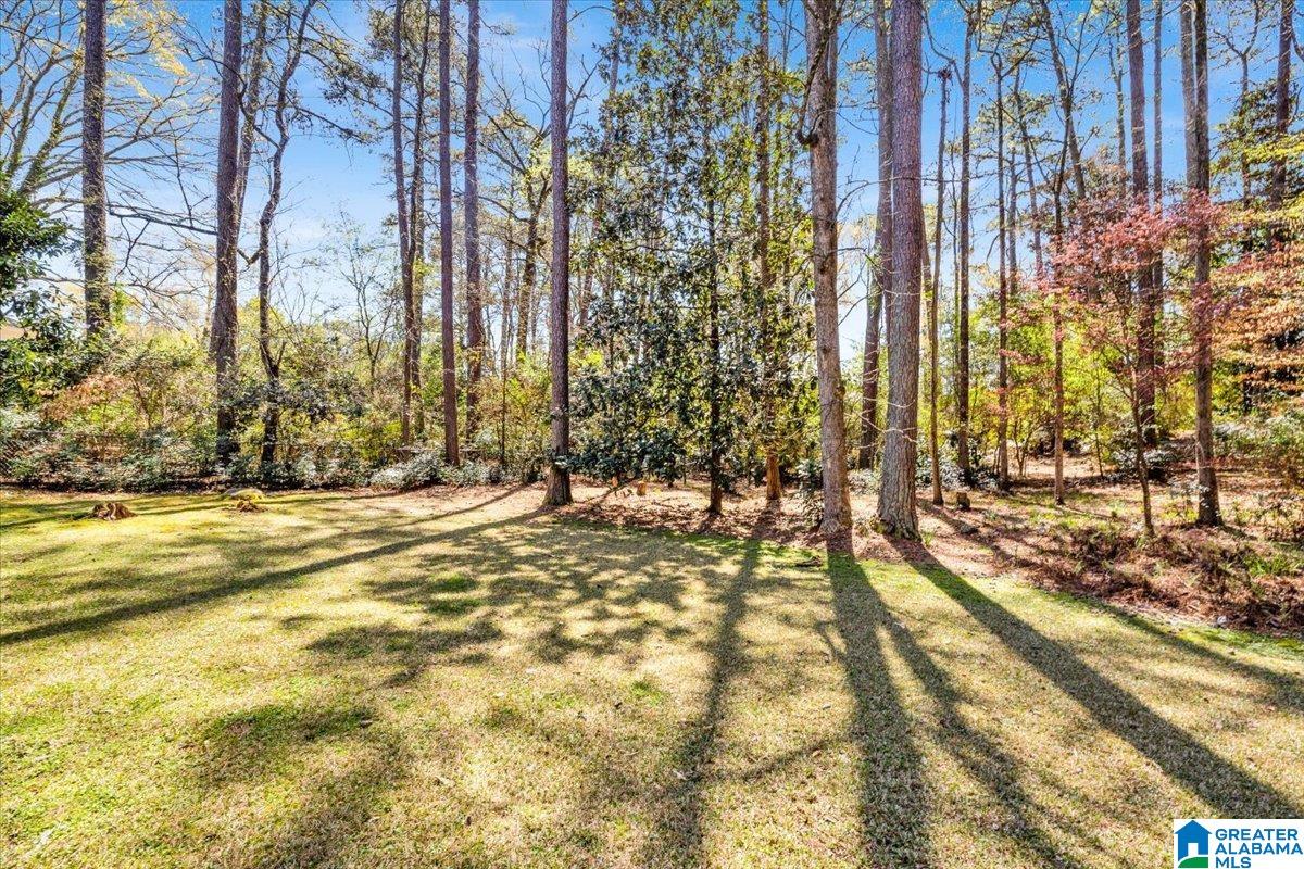 3613 River Ridge Road Birmingham, AL 35243 - Photo 43 of 43