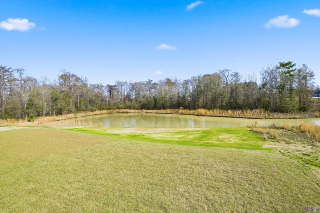 $920,000 | 43256 Collyns Cove, Prairieville, LA 70769