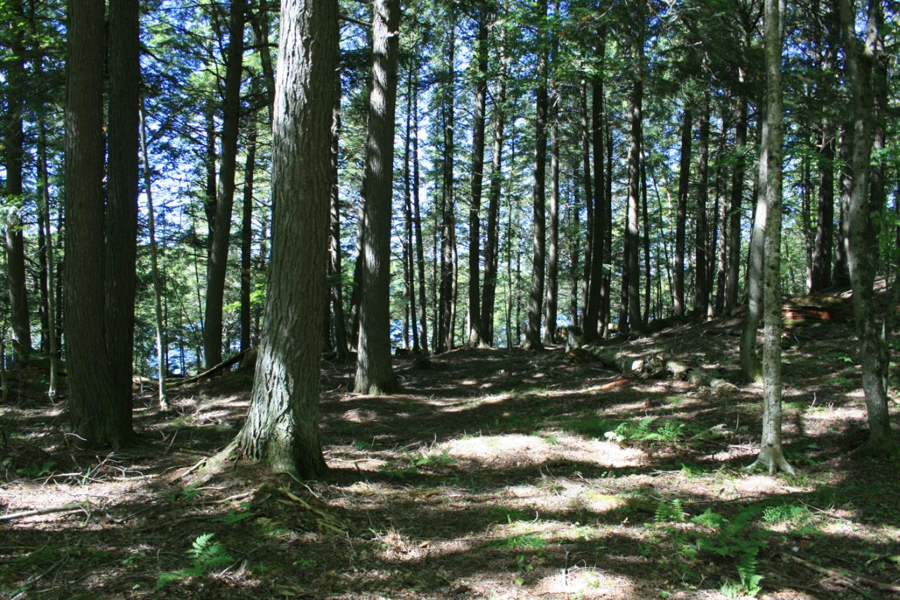 Tbd Tbd Hewitt Lane, Unit 7 Mercer, WI 54547 - Photo 26 of 31 Gallery Image 26