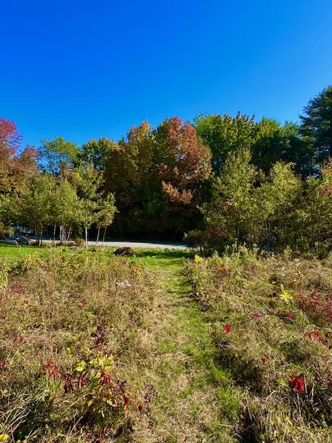 Lot 1 Oak Hill Road Smithfield, ME 04978 - Photo 13 of 23 IMG_6237