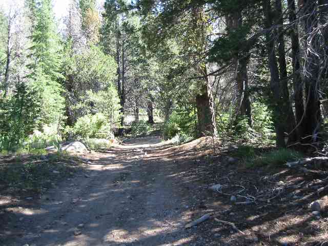 0 Cold Stream Road Truckee, CA 96161 - Photo 6 of 7