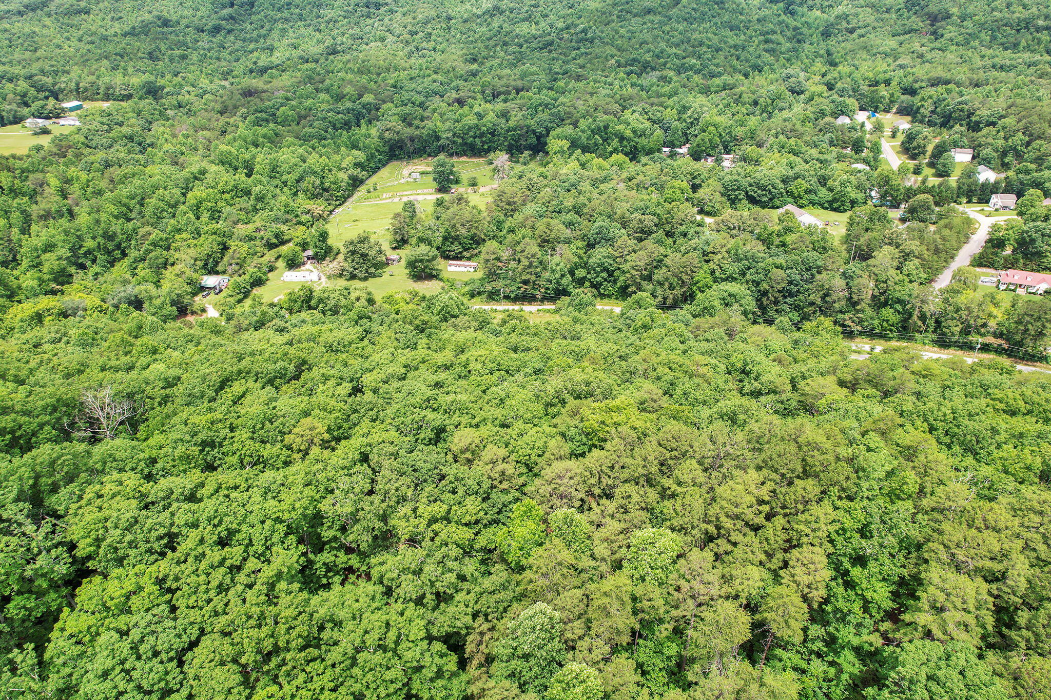 1241 Upper Cove Loop Road Dayton, TN 37321 - Photo 9 of 15 7-web-or-mls-DJI_0057