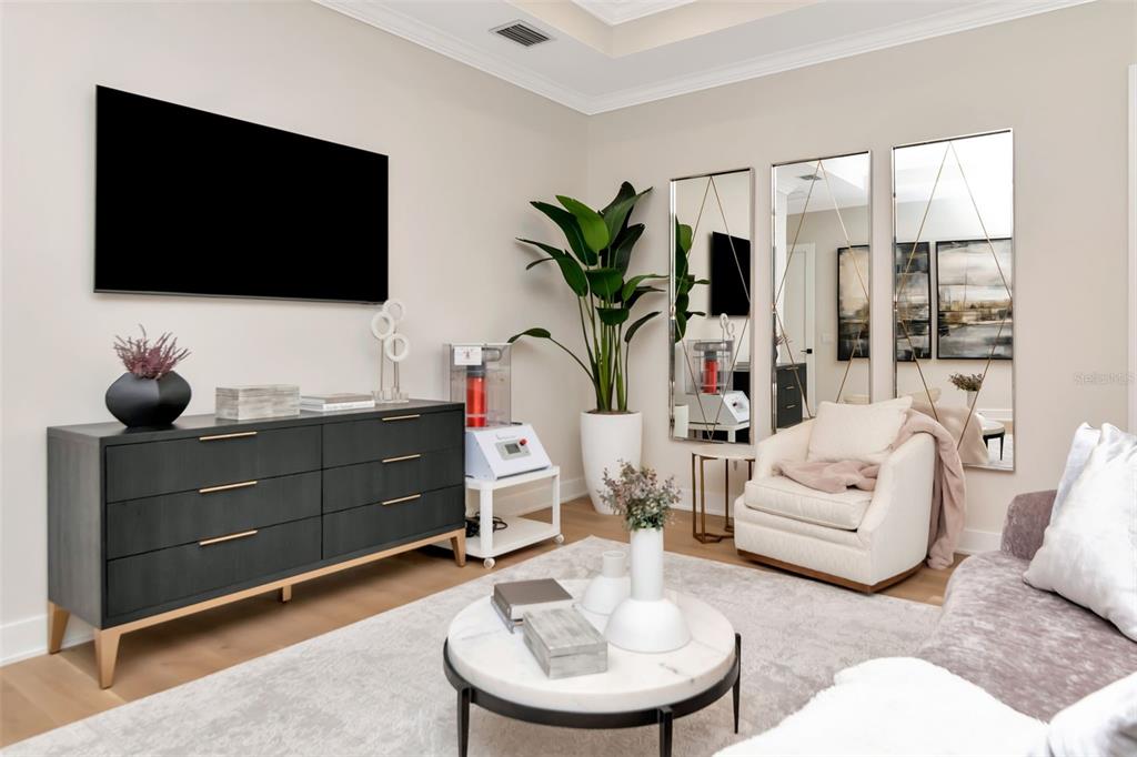 4111 West Swann Avenue Tampa, FL 33609 - Photo 30 of 49 a living room with furniture a flat screen tv and a potted plant