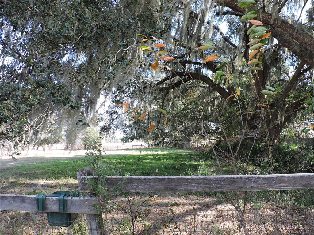 148 Denver Road Crescent City, FL 32112 - Photo 36 of 47