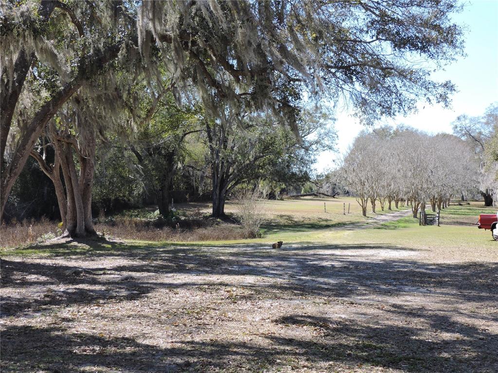 148 Denver Road Crescent City, FL 32112 - Photo 10 of 47