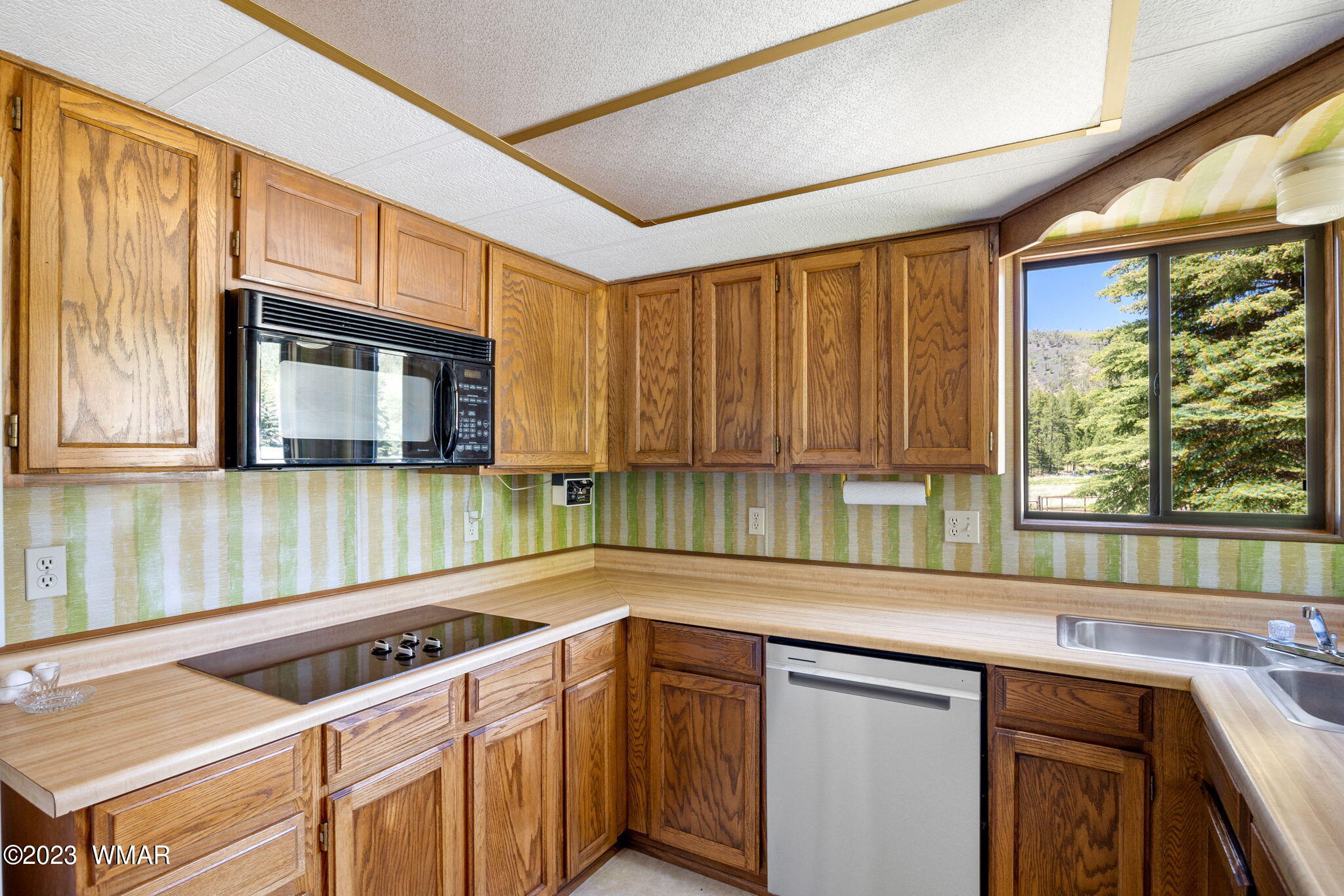 7 County Road 2043 Alpine, AZ 85920 - Photo 13 of 32 a kitchen with a stove a sink and a microwave