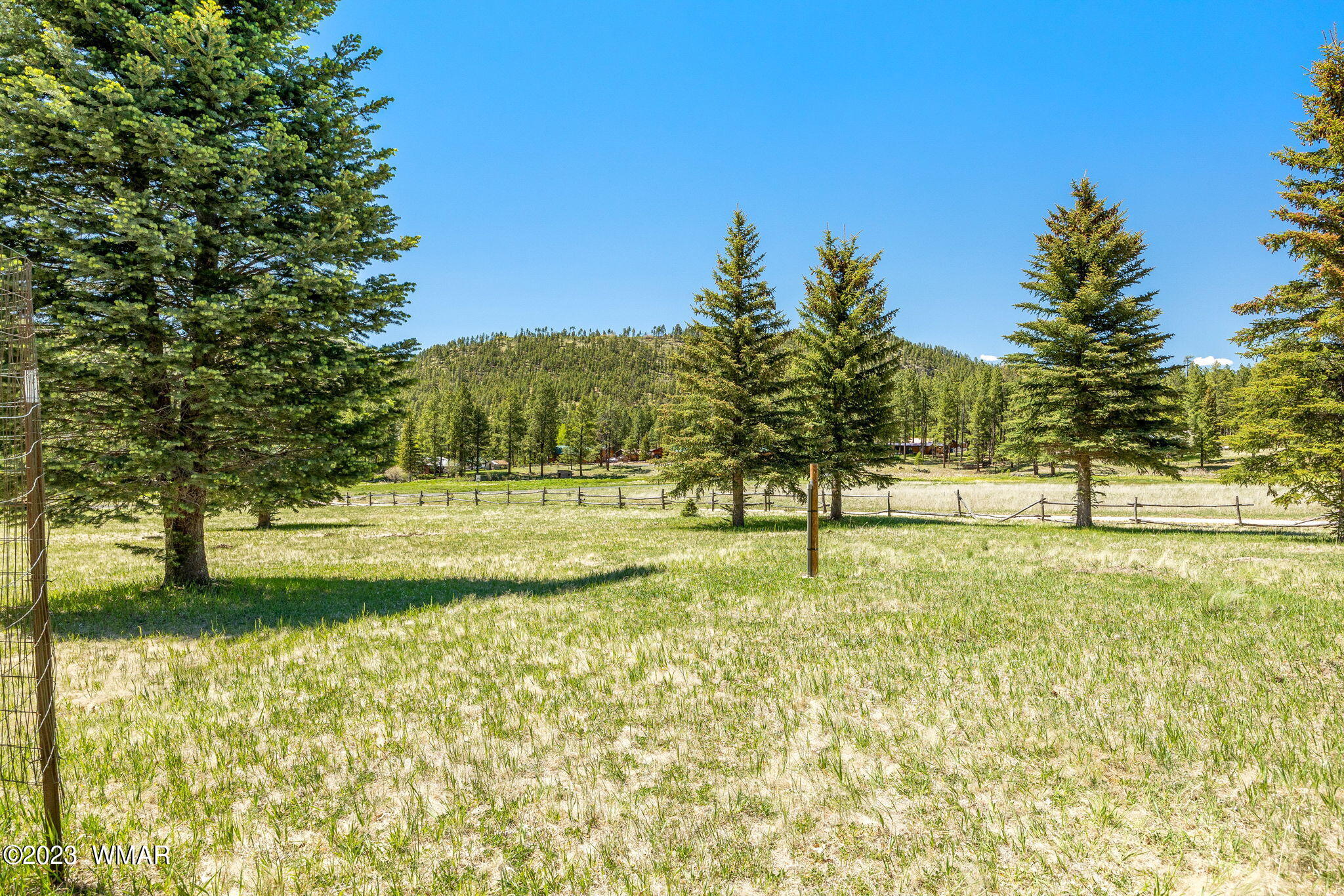 7 County Road 2043 Alpine, AZ 85920 - Photo 25 of 32 a view of back yard