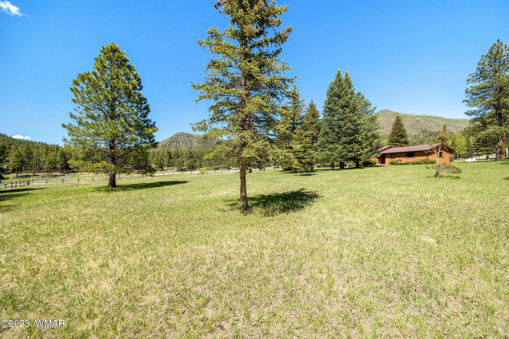 7 County Road 2043 Alpine, AZ 85920 - Photo 4 of 32 a view of a yard with swimming pool