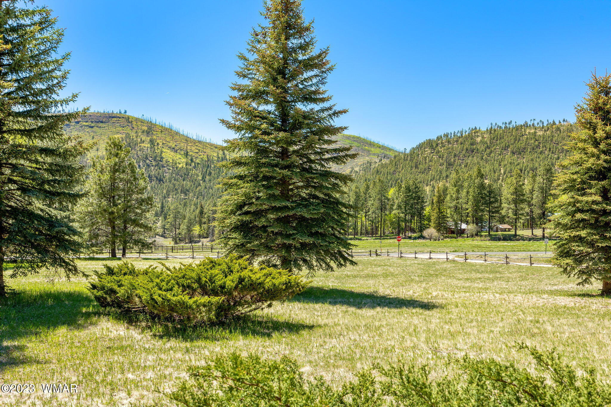 7 County Road 2043 Alpine, AZ 85920 - Photo 5 of 32 a view of a yard