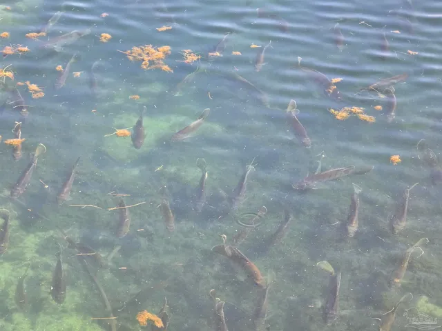 a backyard of a house with outdoor seating