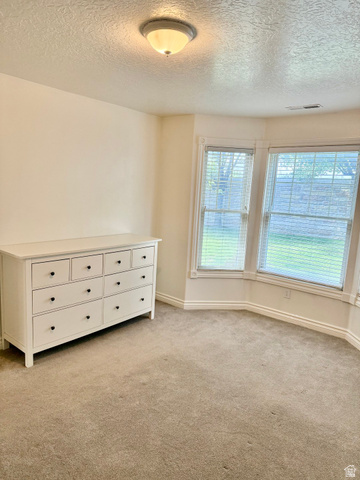 2460 West 450 South, Unit 1 Springville, UT 84663 - Photo 8 of 18