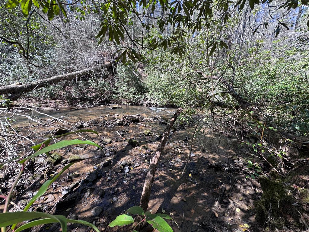 0 Virginia Lane Murphy, NC 28906 - Photo 11 of 12