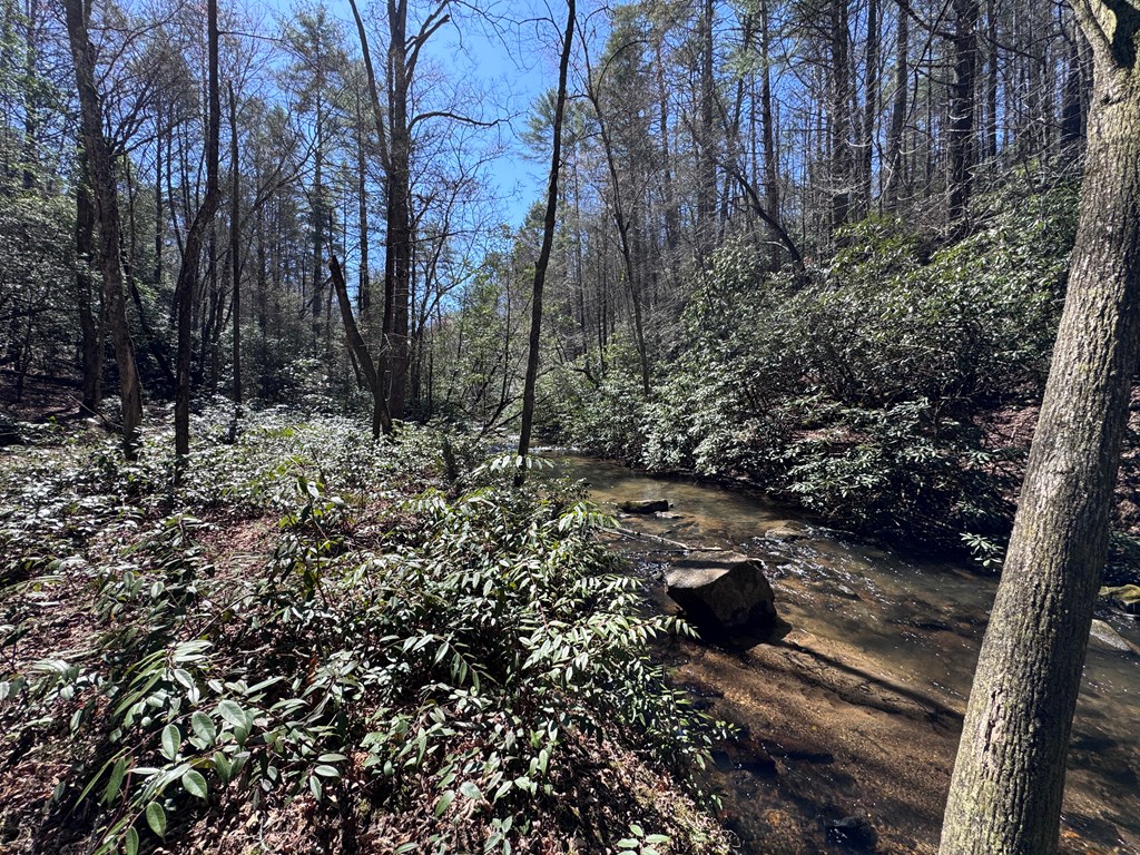 0 Virginia Lane Murphy, NC 28906 - Photo 4 of 12