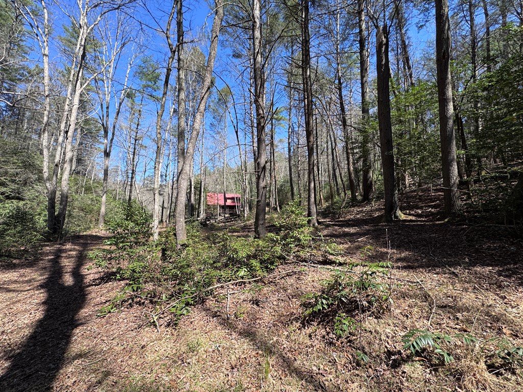 0 Virginia Lane Murphy, NC 28906 - Photo 6 of 12