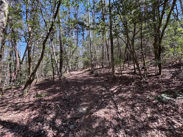 a view of outdoor space with trees